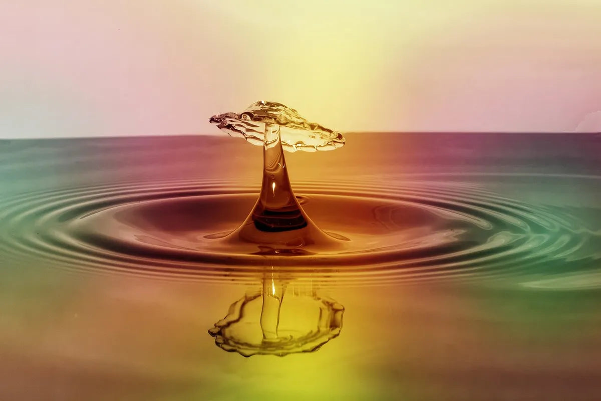 Gouttes d'eau - garantie pommeau de douche
