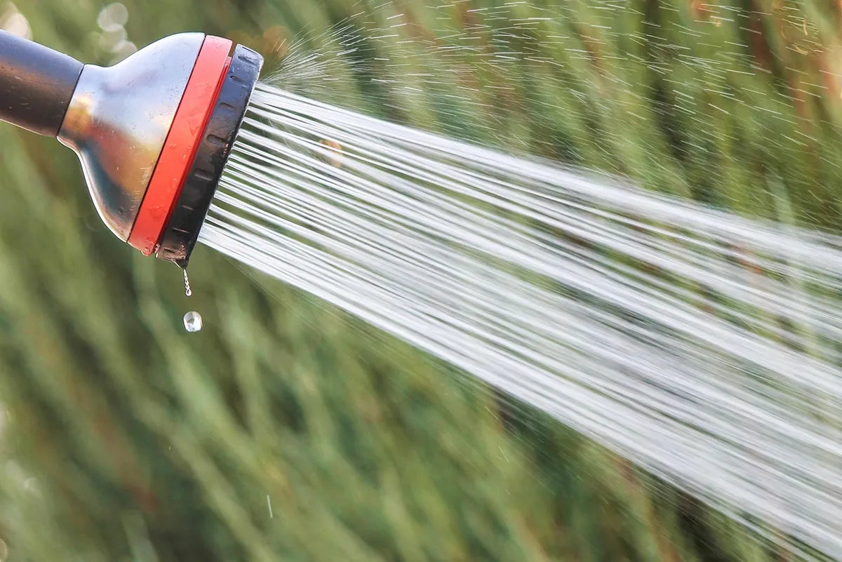 Pommeau de douche diffusant un jet d'eau en pluie