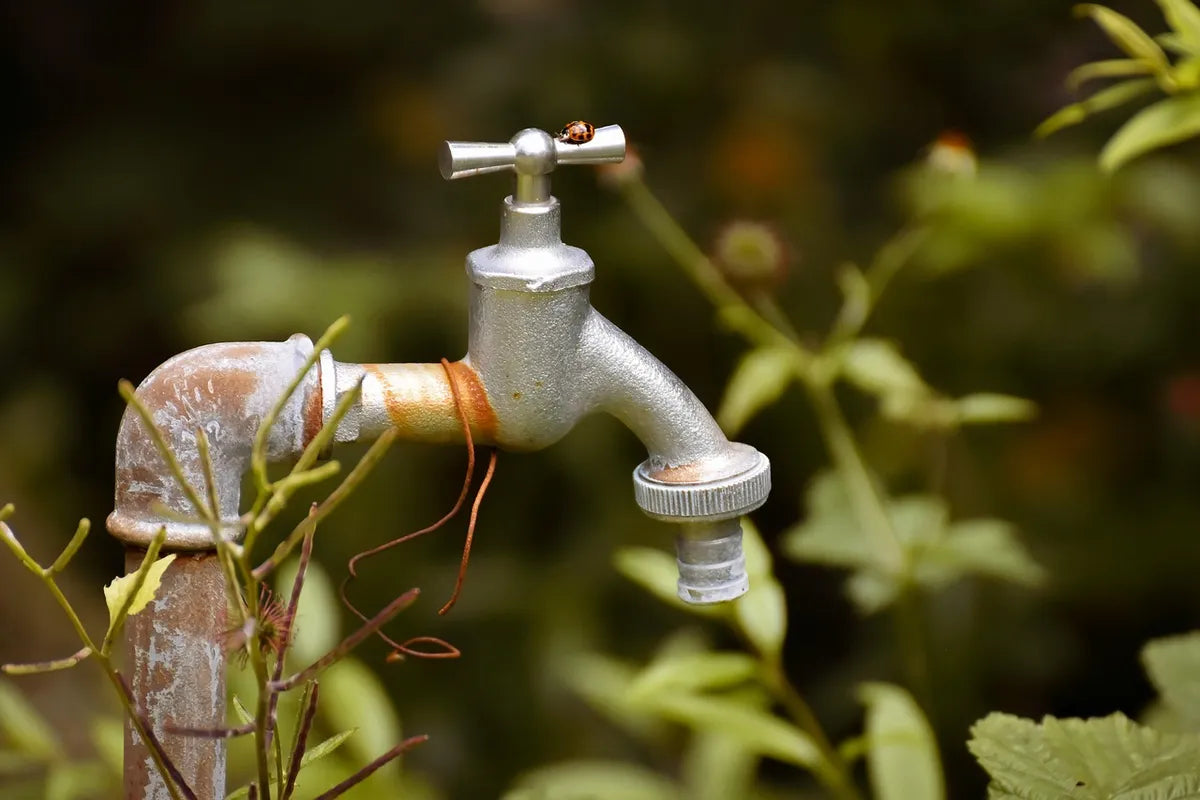 Robinet ancien laissant couler de l'eau