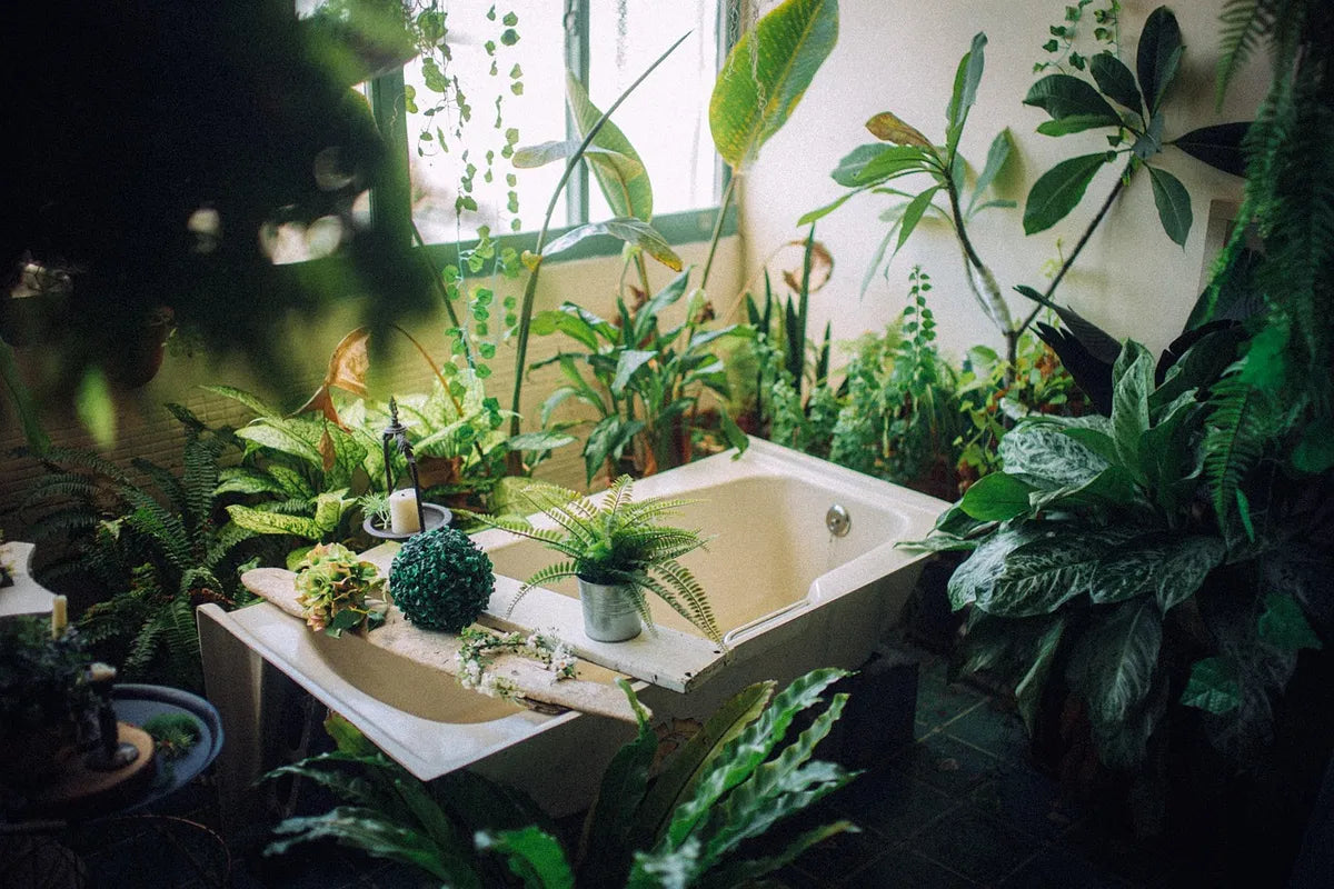 Baignoire entourée de plantes vertes