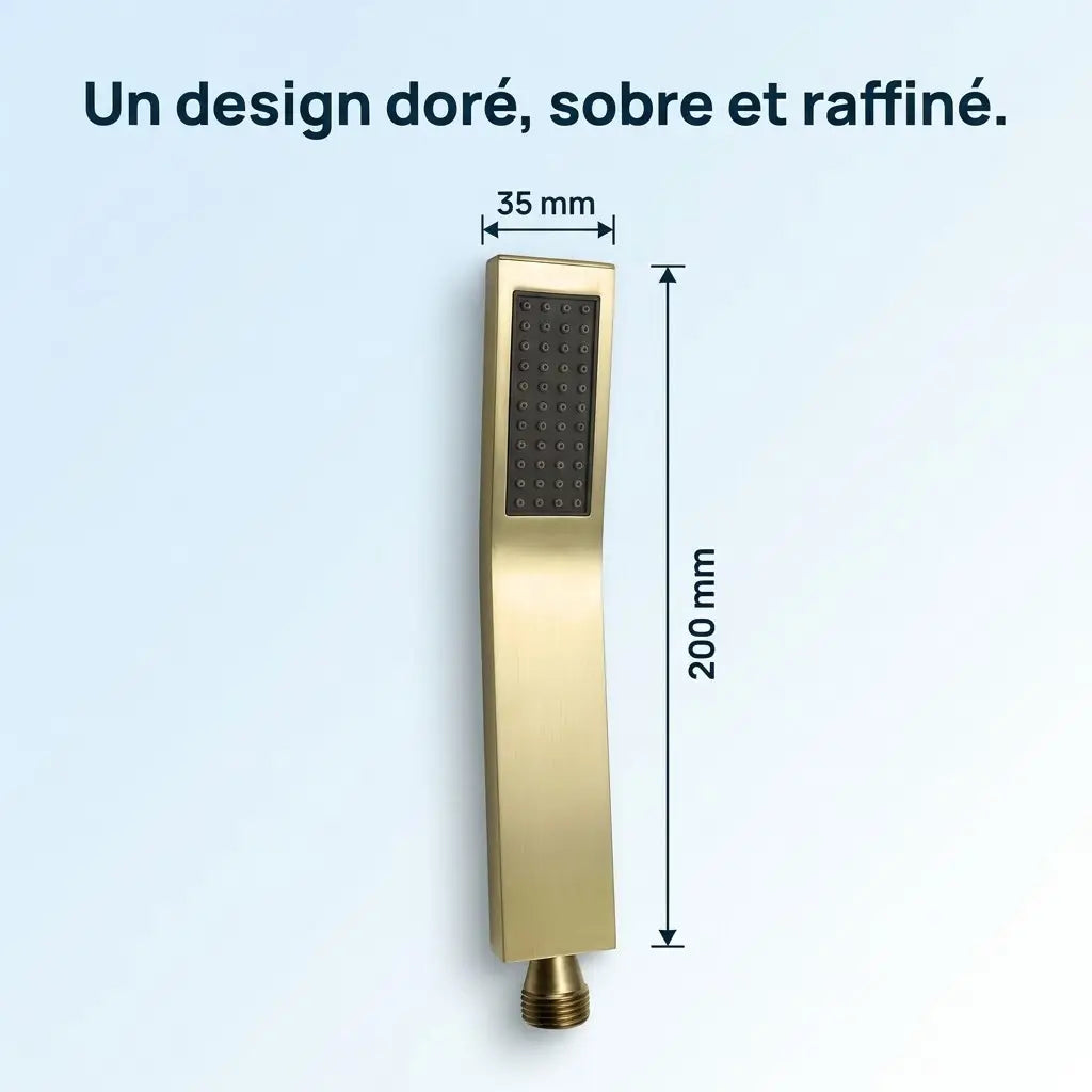 Douchette Dorée Brossée Rectangulaire à Face Noire